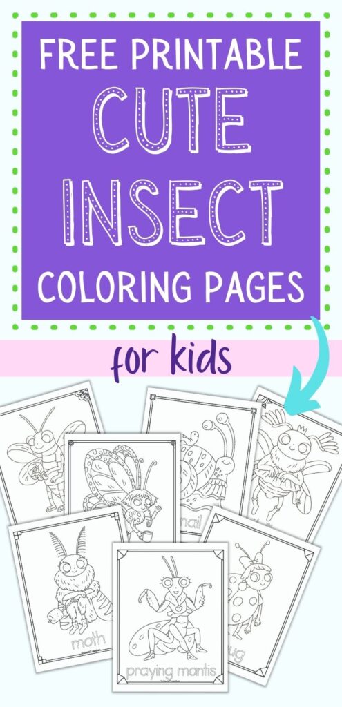 Text "free printable cute insect coloring pages for kids" above a preview with seven printable cartoon insect coloring pages. Each page has the insect's name in a bubble font to color. Insects include a praying mantis, moth, ladybug, butterfly, firefly, snail, and fruit fly.