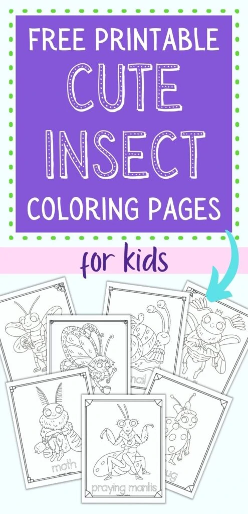 Text "free printable cute insect coloring pages for kids" above a preview with seven printable cartoon insect coloring pages. Each page has the insect's name in a bubble font to color. Insects include a praying mantis, moth, ladybug, butterfly, firefly, snail, and fruit fly.