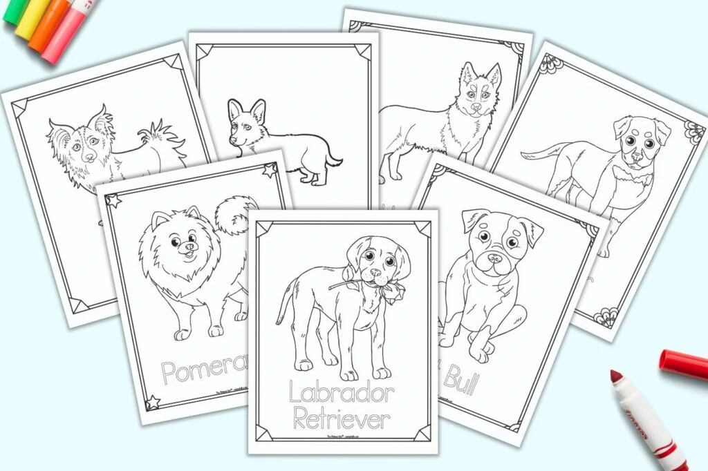 beagle and border collie coloring pages