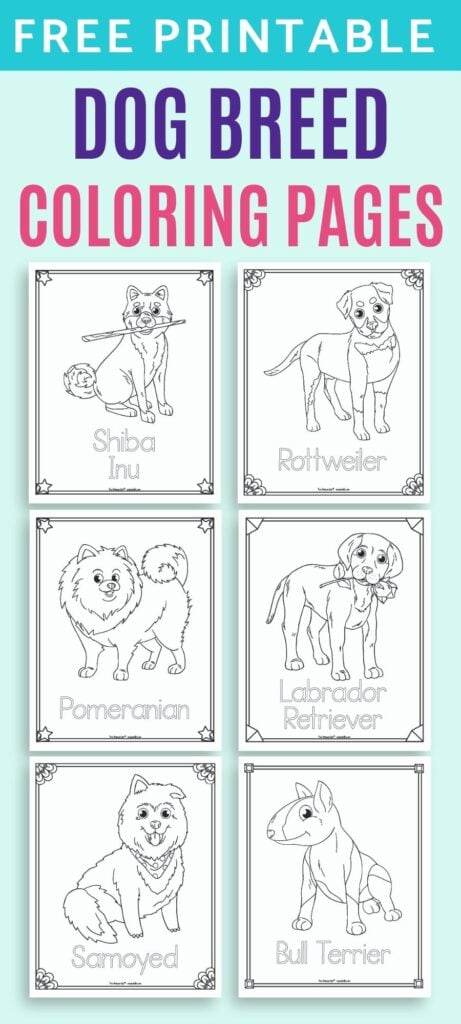 Text 'free printable dog breed coloring pages' above a 2x4 image grid with previews of coloring pages. Breeds shown are: shiba int, rottweiler, Pomeranian, lab, samoyed, and bull terrier.