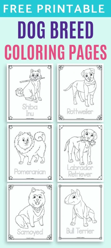 pomeranian coloring pages free