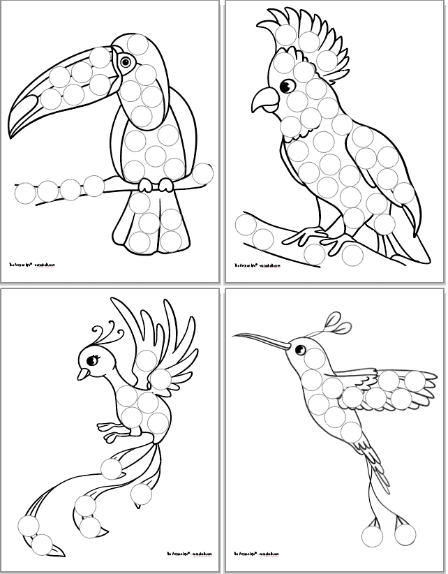 A 2x2 grid with four printable children's do a dot coloring pages. Each page has a tropical bird covered in blank circles to dot in or cover with stickers. Birds include toucan, cockatoo, quetzal, and hummingbird