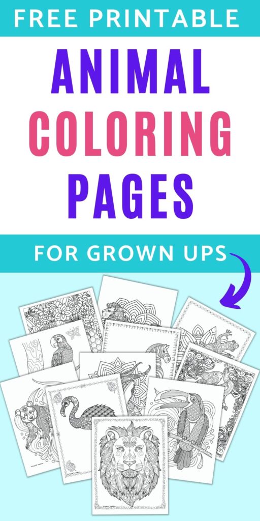 Text "free printable animal coloring pages for grown ups" with an arrow pointing at 11 printable complex coloring pages with animals. Each animal has detailed zen-style drawings to color.