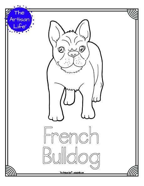 A preview of a printable dog breed coloring page with a French bulldog. The dog breed's name is below the coloring image and there is a doodle frame to color around the edge of the page. 