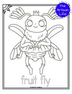 Cute Insect Coloring Pages - The Artisan Life