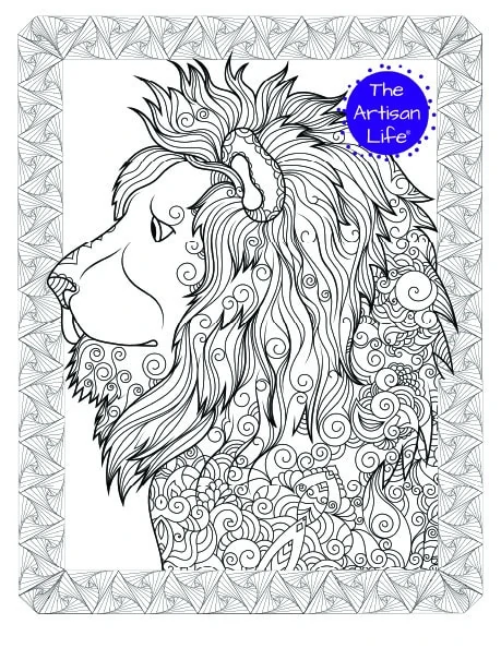 A lion head looking left coloring page for adults with complex patterns to color and a doodle border