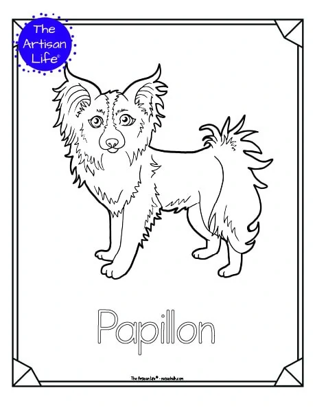 A preview of a printable dog breed coloring page with a papillon. The dog breed's name is below the coloring image and there is a doodle frame to color around the edge of the page. 