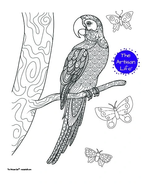 A parrot coloring page for adults with complex patterns to color. The parrot is on a branch and there are three butterflies in the air around the sitting bird. 