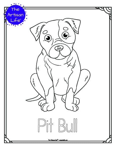 A preview of a printable dog breed coloring page with a pit bull. The dog breed's name is below the coloring image and there is a doodle frame to color around the edge of the page. 