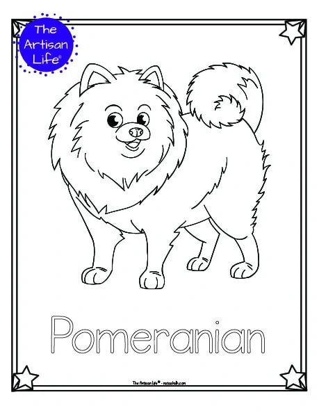 A preview of a printable dog breed coloring page with a Pomeranian. The dog breed's name is below the coloring image and there is a doodle frame to color around the edge of the page. 