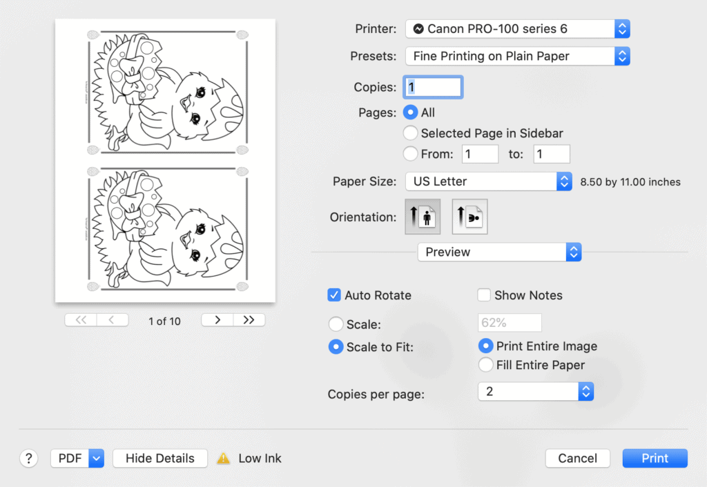A print dialogue box from Mac Preview showing printing two Easter chick coloring pages two to a page