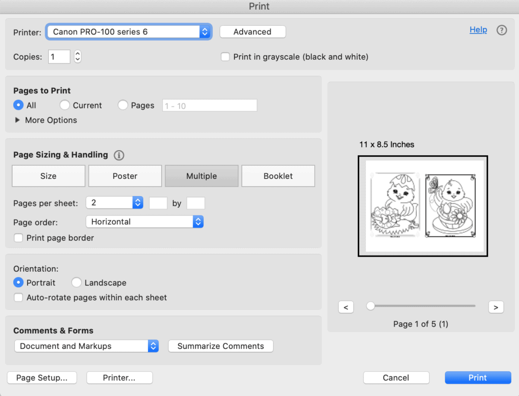 A print dialogue box from Acrobat Reader showing printing two Easter chick coloring pages two to a page
