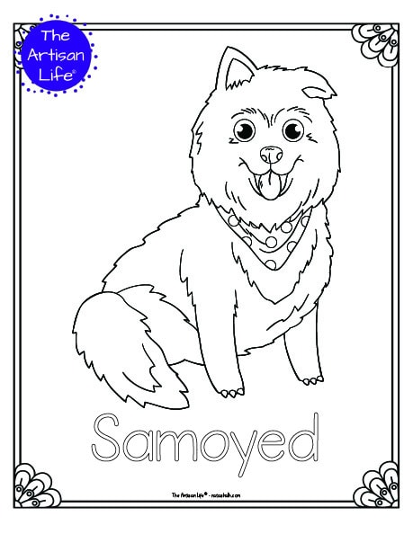 A preview of a printable dog breed coloring page with a samoyed. The dog breed's name is below the coloring image and there is a doodle frame to color around the edge of the page. 