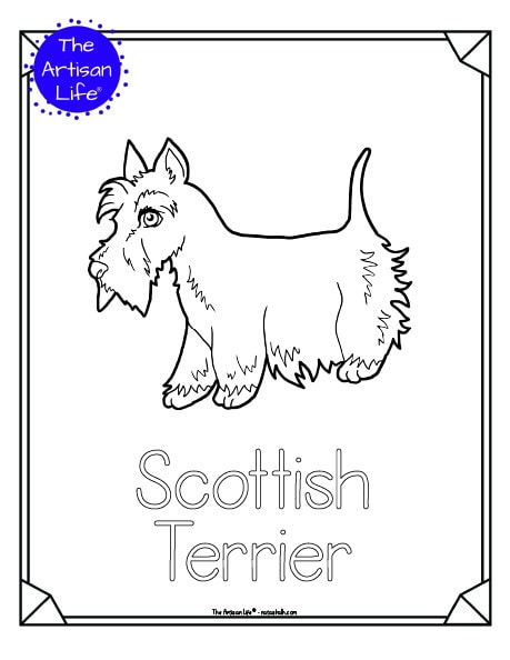 A preview of a printable dog breed coloring page with a Scottish terrier. The dog breed's name is below the coloring image and there is a doodle frame to color around the edge of the page. 