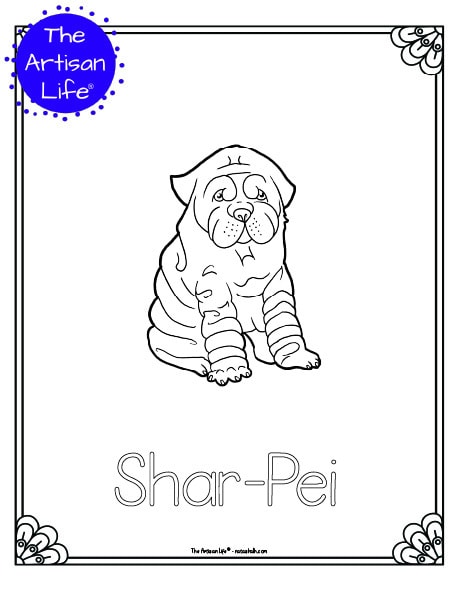 A preview of a printable dog breed coloring page with a Star Pei. The dog breed's name is below the coloring image and there is a doodle frame to color around the edge of the page. 