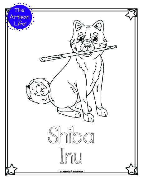 A preview of a printable dog breed coloring page with a shiba inu. The dog breed's name is below the coloring image and there is a doodle frame to color around the edge of the page. 