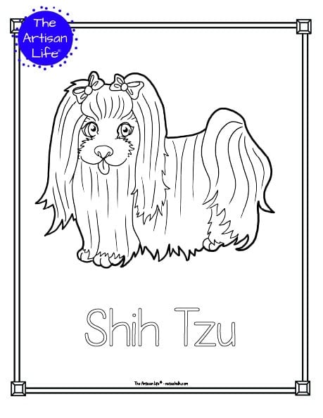 A preview of a printable dog breed coloring page with a shih tzu. The dog breed's name is below the coloring image and there is a doodle frame to color around the edge of the page. 