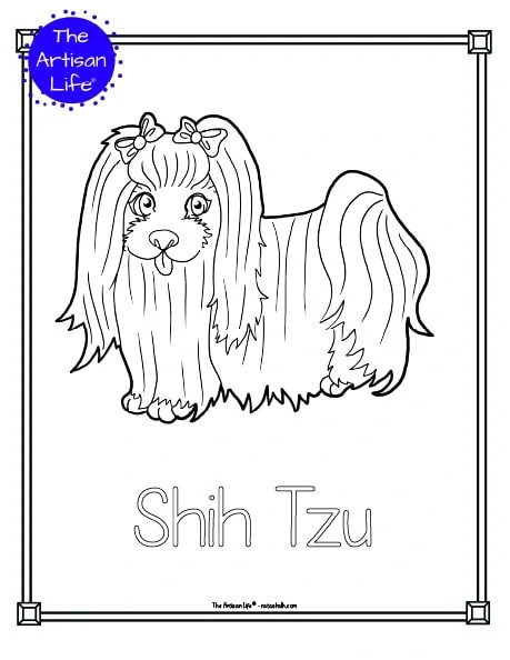 A preview of a printable dog breed coloring page with a shih tzu. The dog breed's name is below the coloring image and there is a doodle frame to color around the edge of the page. 