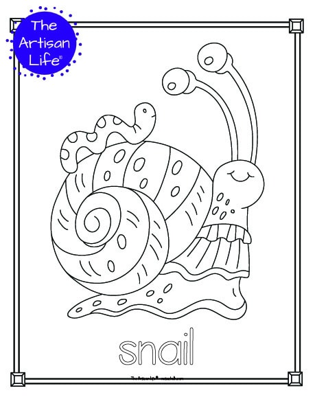 A cute insect coloring page for children with a doodle frame, a snail to color, and "snail" in a bubble font to color