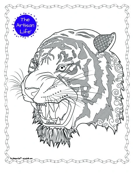 A tiger head with teeth bared coloring page for adults with complex patterns to color and a doodle border