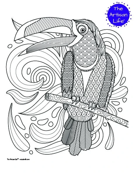 A toucan coloring page for adults with complex patterns to color. The toucan is in front of swirling wave patterns to color.