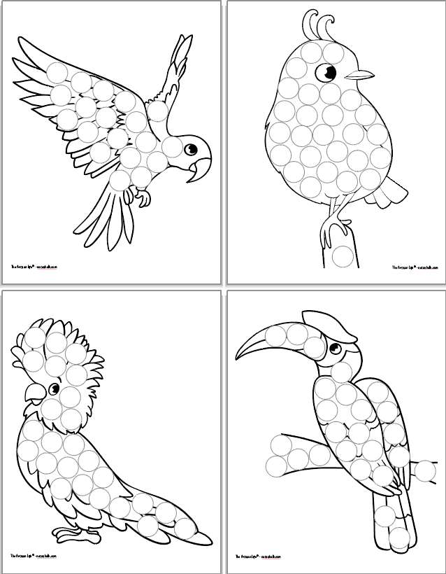 A 2x2 grid with four printable children's do a dot coloring pages. Each page has a tropical bird covered in blank circles to dot in or cover with stickers. Birds include parrot, cockateel, cockatoo, and hornbill