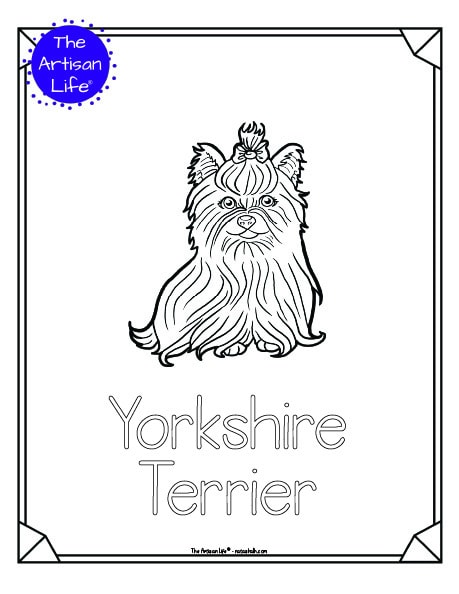 A preview of a printable dog breed coloring page with a Yorkshire Terrier. The dog breed's name is below the coloring image and there is a doodle frame to color around the edge of the page. 