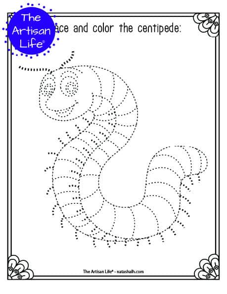 A printable trace and color page with a cute centipede to trace and color. The centipede has dotted lines instead of solid lines for a child to trace. 