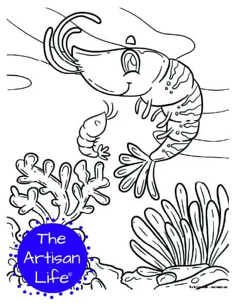 A children's coloring page with a cute baby and mom shrimp on a background with coral and seaweed to color. 