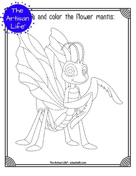 A printable trace and color page with a cute flower mantis to trace and color. The flower mantis has dotted lines instead of solid lines for a child to trace. 
