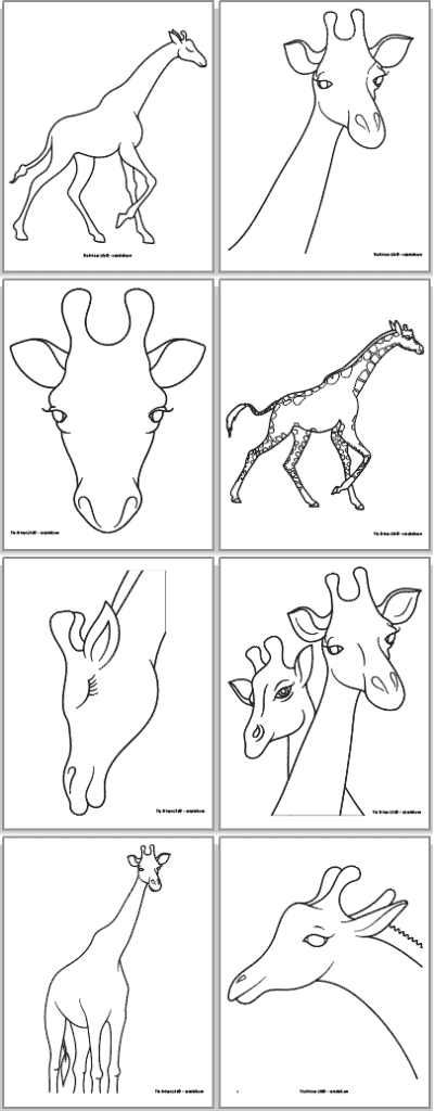A 2x4 grid of eight free printable black and white giraffe templates including giraffe bodies, giraffe heads, and two giraffes together.