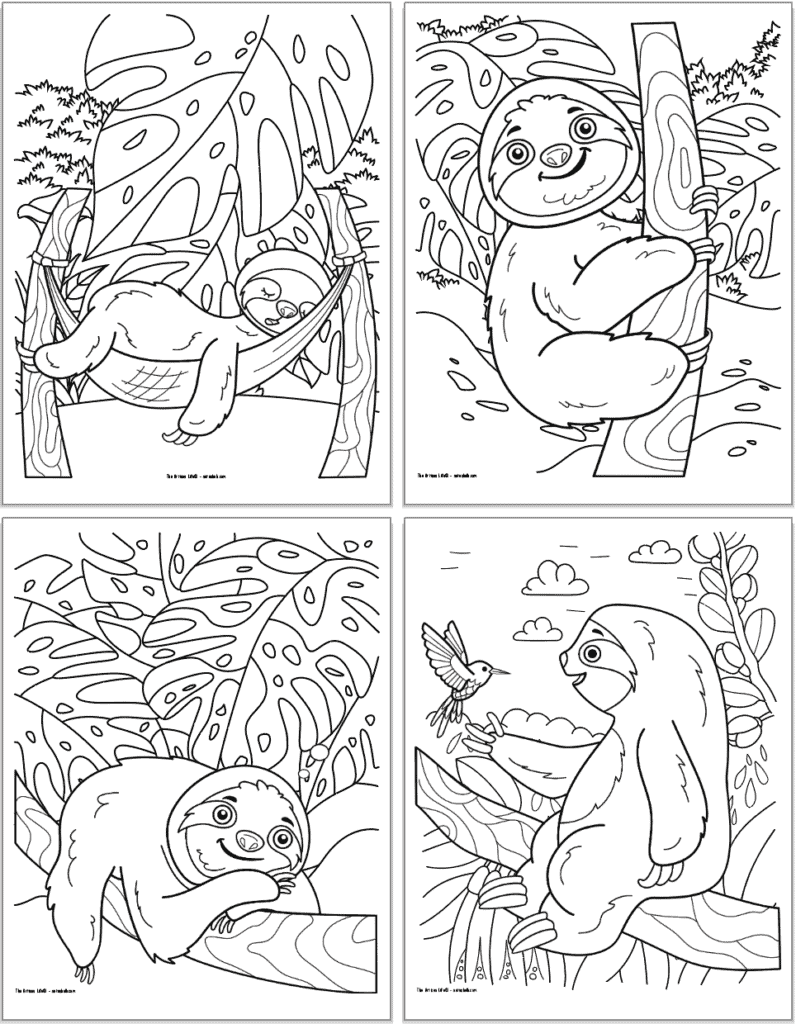 Four free printable sloth coloring page previews in a 2x2 grid. Pages include: a sloth sleeping in a hammock, a sloth on a vertical tree, a sloth lying down on a branch, and a sloth sitting on a branch with a hummingbird