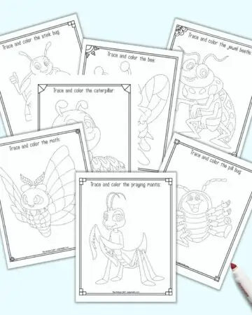 Seven printable insect trace and color pages. Each page as a cute cartoon insect to trace with dotted lines instead of solid lines. The insect is inside a doodle frame to color. Insects include: praying mantis, moth, pill bug, caterpillar, stink bug, butterfly, and jewel beetle