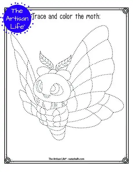 A printable trace and color page with a cute moth to trace and color. The moth has dotted lines instead of solid lines for a child to trace. 