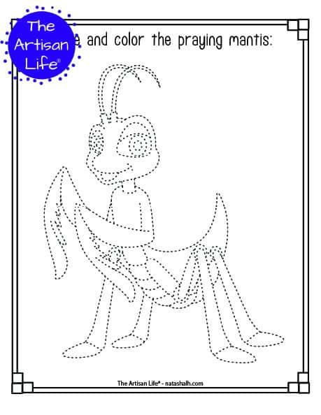 A printable trace and color page with a cute praying mantis to trace and color. The praying mantis has dotted lines instead of solid lines for a child to trace. 