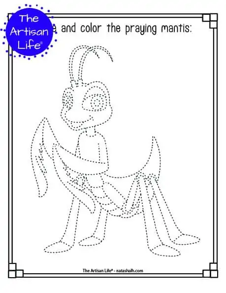 Free Printable Insect Trace and Color Pages - The Artisan Life