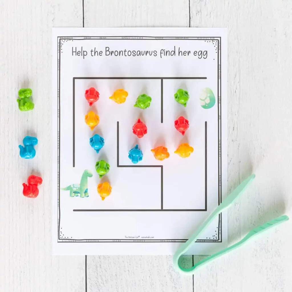 A simple maze for preschoolers with a brontosaurus at the starting point. The maze has been completed with small, colorful plastic dinosaurs. A pair of large gripping tongs for placing math manipulatives is next to the printed page.