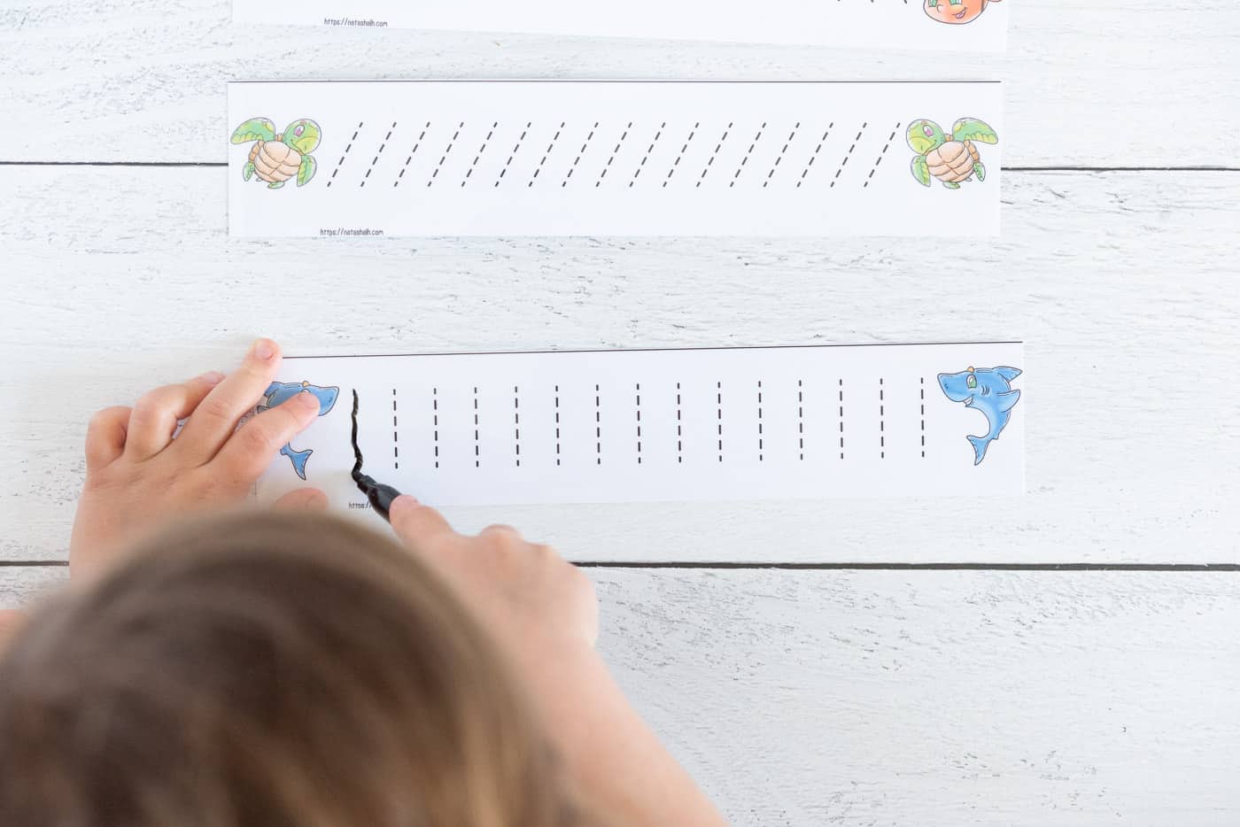 A top down view of a preschooler using a black dry erase marker to trace dotted lines on a laminated card.