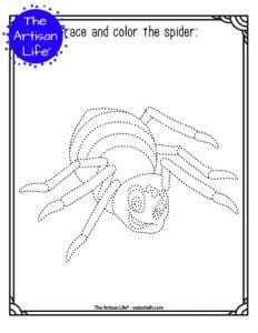 Free Printable Insect Trace and Color Pages - The Artisan Life