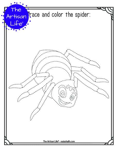 A printable trace and color page with a cute spider to trace and color. The spider has dotted lines instead of solid lines for a child to trace. 