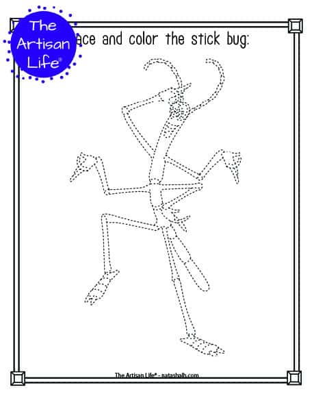 A printable trace and color page with a cute stick bug to trace and color. The stick bug has dotted lines instead of solid lines for a child to trace. 