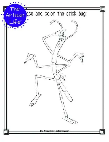 A printable trace and color page with a cute stick bug to trace and color. The stick bug has dotted lines instead of solid lines for a child to trace. 