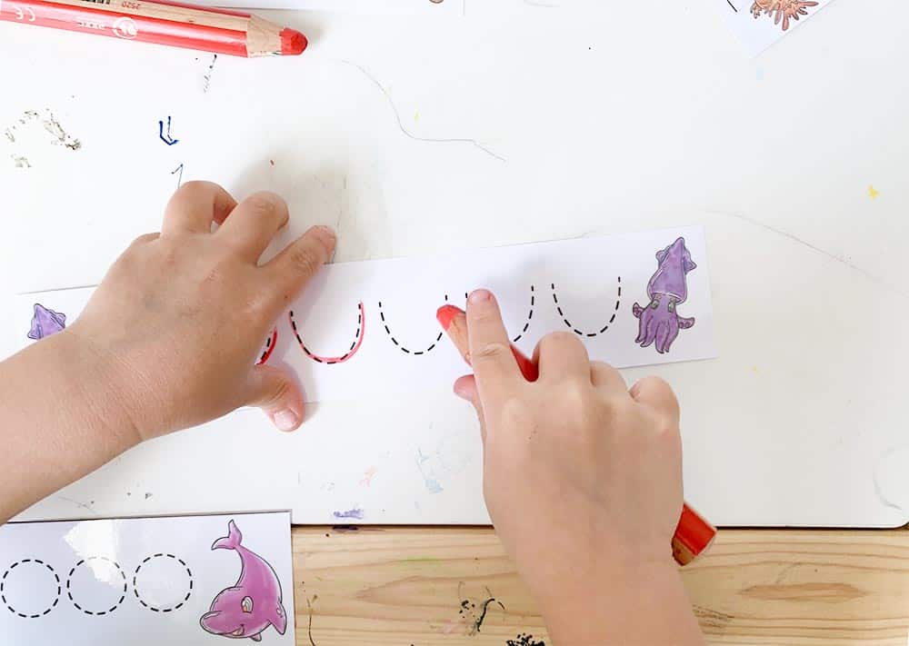 A top down view of a preschooler using a red dry erase pencil to color a dotted U shape on a tracing card with purple squids on it.