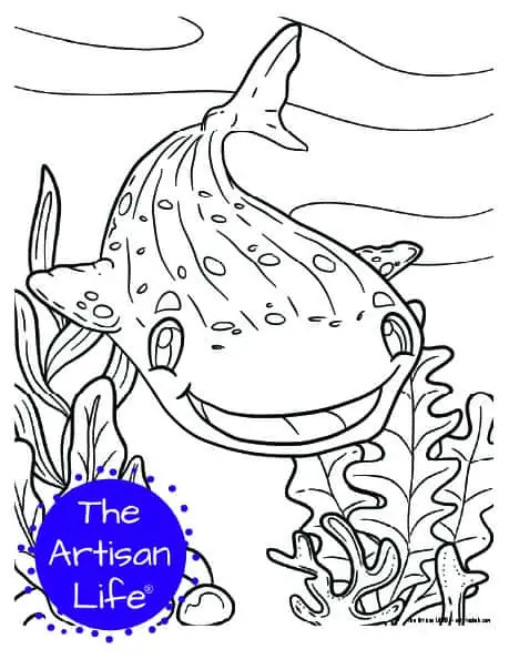 whale shark coloring pages