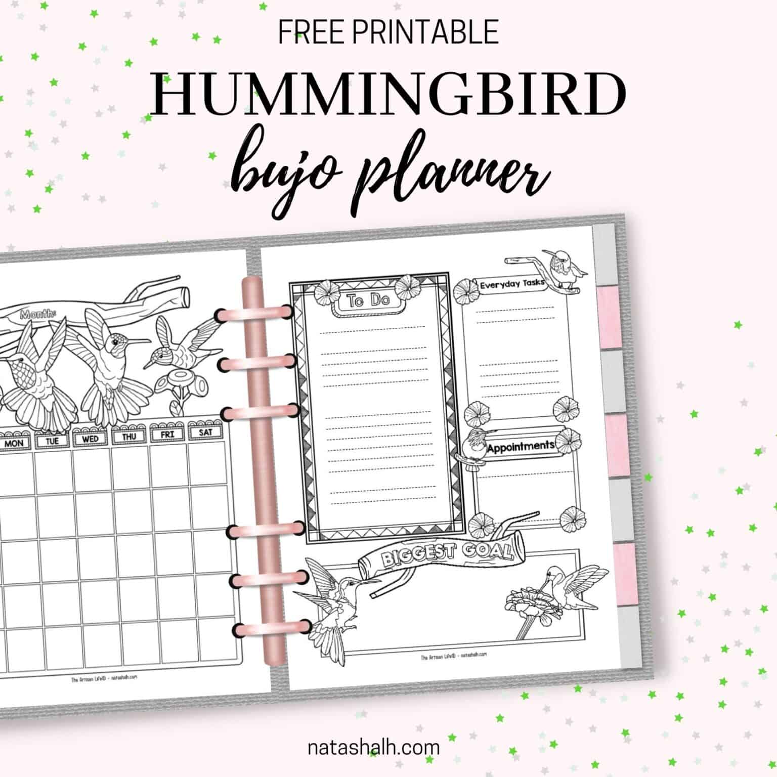 Text "free printable hummingbird bujo planner" above a preview of a monthly page and a daily log with hummingbirds and flowers