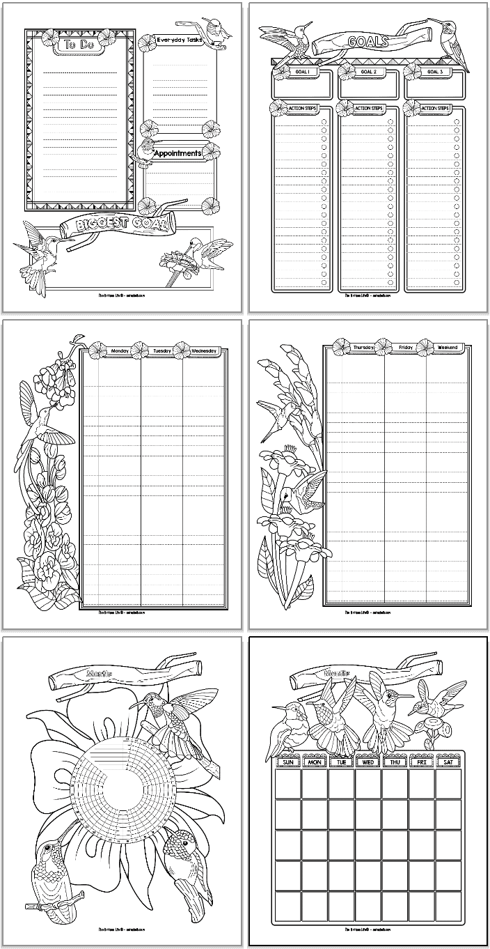A 2x3 grid preview of hummingbird themed bujo style planner pages. Pages include: daily log, weekly two page speed, goals tracker, habit tracker, and monthly calendar.