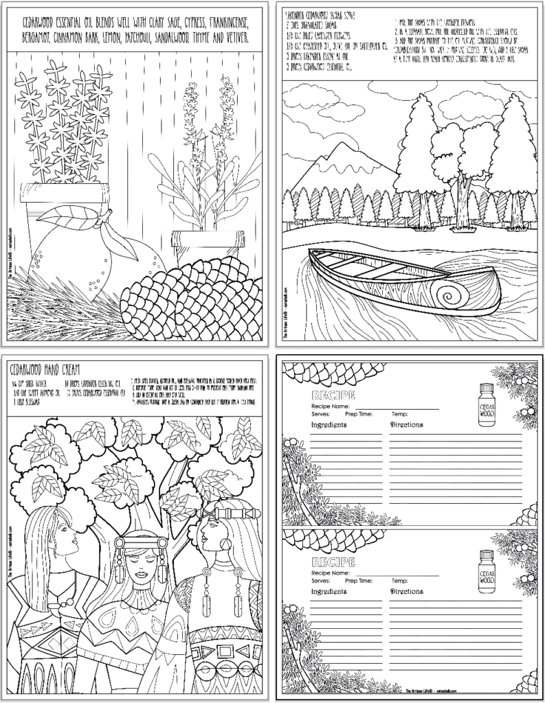 A preview of four cedarwood essential oil coloring pages. One page has suggestions for oils to blend with cedar, two pages have recipes, and the last page has recipe cards.