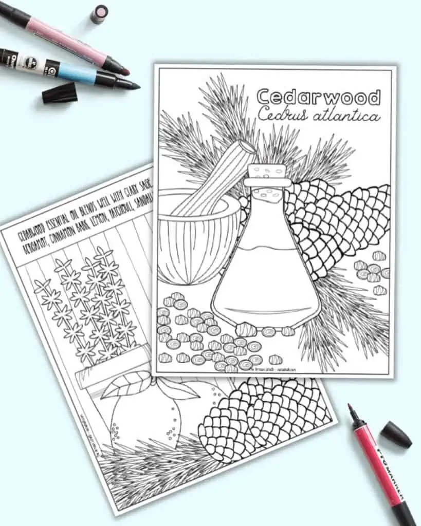 A preview of two printable essential oil coloring pages with cedarwood oil