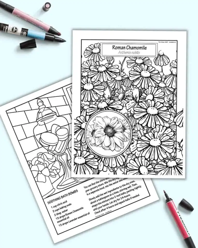 A preview of two printable chamomile coloring pages. The page on top has chamomile flowers to color. The page behind has a bath scene and a bath bomb recipe.