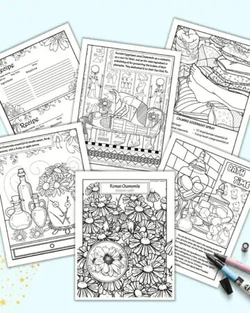 A preview of six printable Roman chamomile essential oil coloring pages